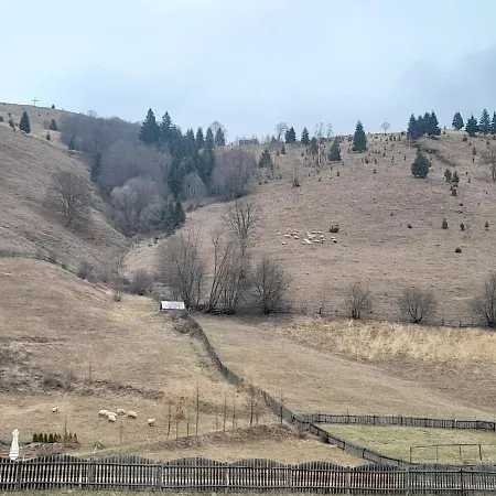 Casa Dumitru Si Elena Bucovina