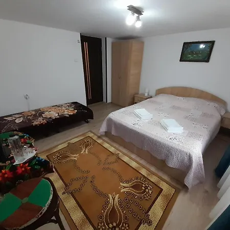 بيت للعطل Casa Dumitru Si Elena Bucovina Ciocanesti