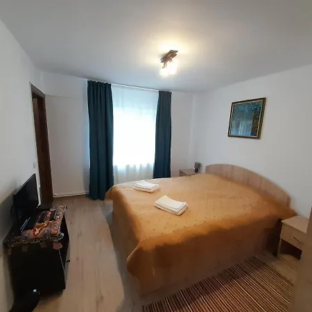 بيت للعطل Casa Dumitru Si Elena Bucovina *
