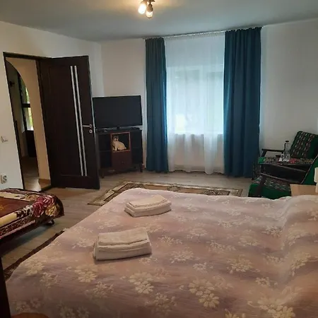 بيت للعطل Casa Dumitru Si Elena Bucovina